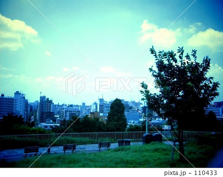 西郷山公園日和 110433