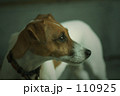 何か見つけた？ 110925