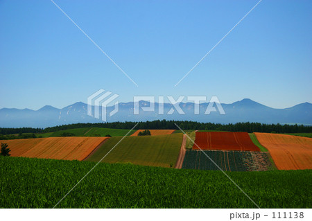 パッチワークの丘 111138