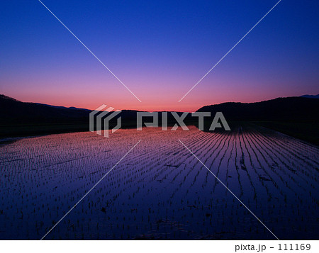 日没後の水田 111169