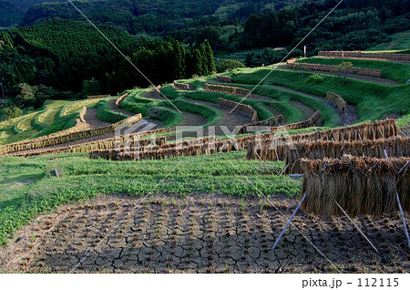 棚田 112115