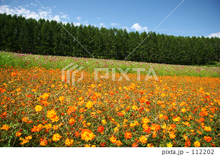 遠軽太陽の丘公園 遠軽太陽の丘公園 112202