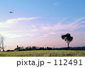 夕暮れトンボ 112491