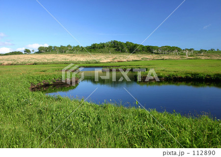 雨竜沼湿原 112890