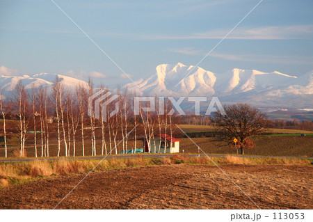 初冬の美瑛 113053