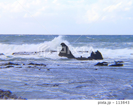 ゴジラ海に帰る？？ 113643