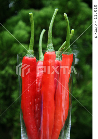 とうがらし 115010