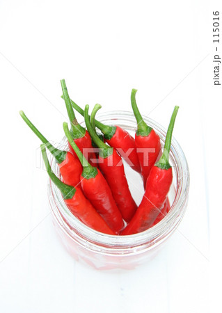 とうがらし とうがらし 115016