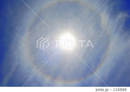 嵩　―ハロ― 116886