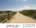 The Road To The Beach 117273
