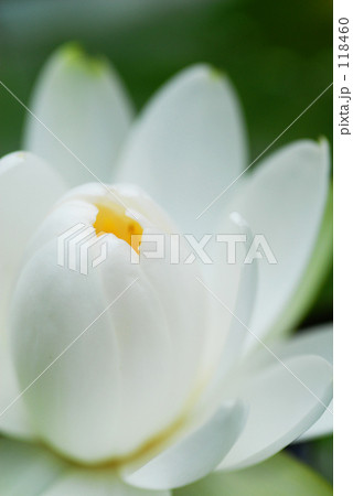 予感 予感 118460