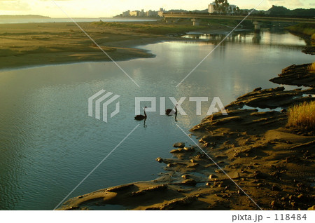 夜明けのお散歩 118484