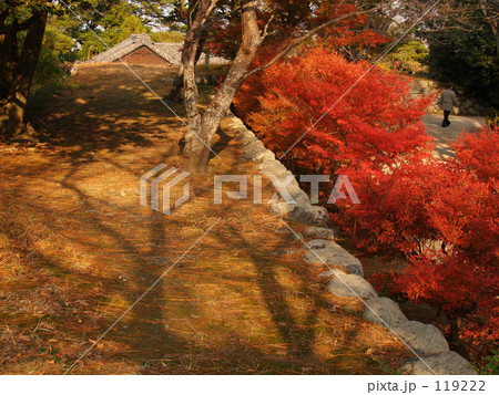 影が伸びる一日の秋時間 119222