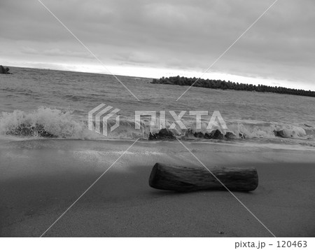 曇り・ときどき流木 120463