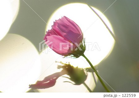 スポットライト 122559