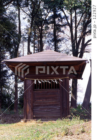 見沼田圃・春　0079 122927