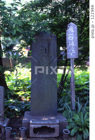見沼田圃・春 0099 見沼田圃・春 0099 122966