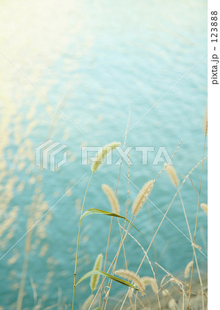 秋風のいろ 123888