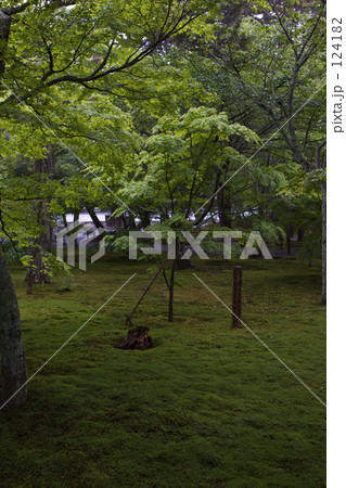 紅葉まじか 紅葉まじか 124182