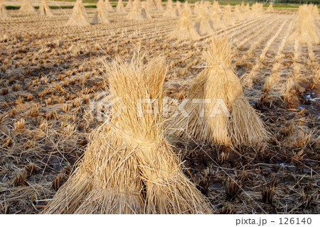 とんがりわら 126140