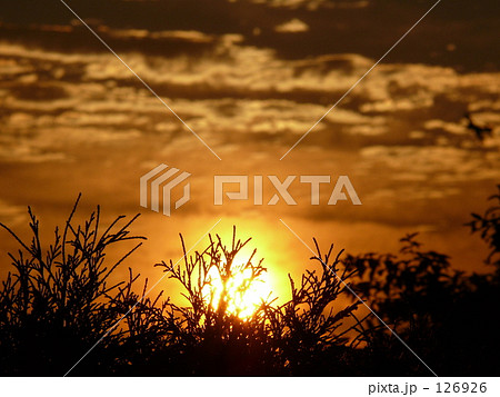 朝陽 その2 朝陽 その2 126926