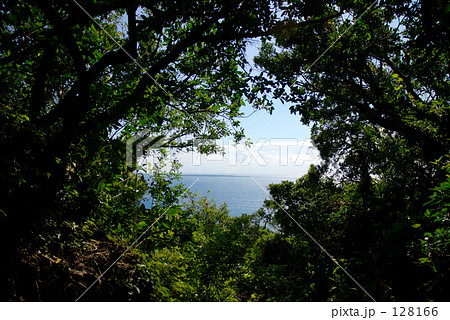 木々の向こうの世界 128166