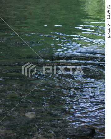 おだやかに森色映す おだやかに森色映す 129671