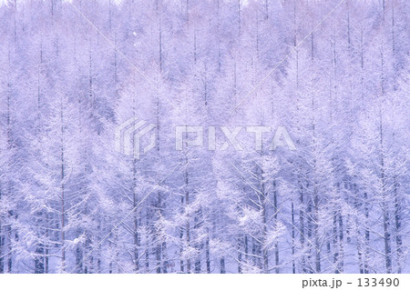 樹氷 133490