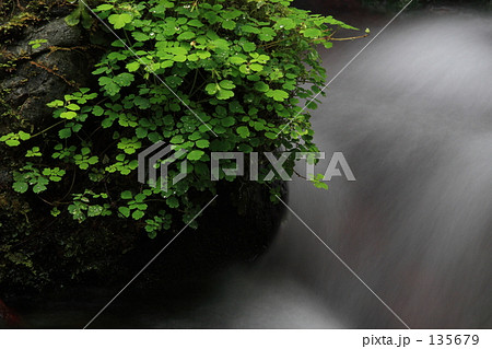 流れ　１５ 135679