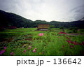 白川郷 136642