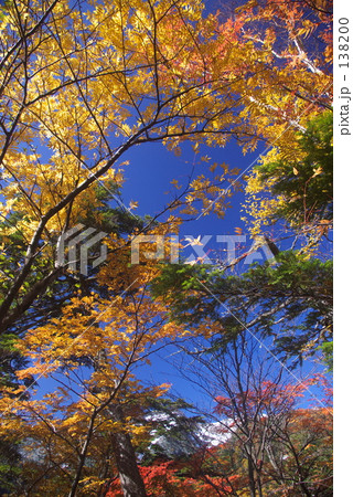 八ヶ岳の紅葉 八ヶ岳の紅葉 138200