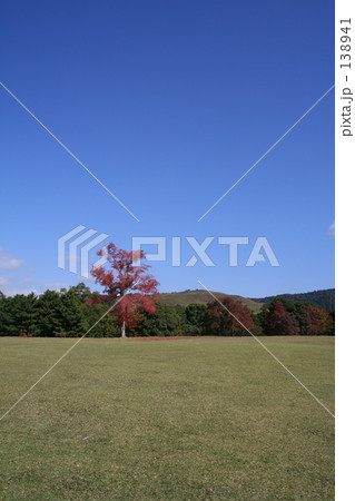 丘の紅葉 丘の紅葉 138941