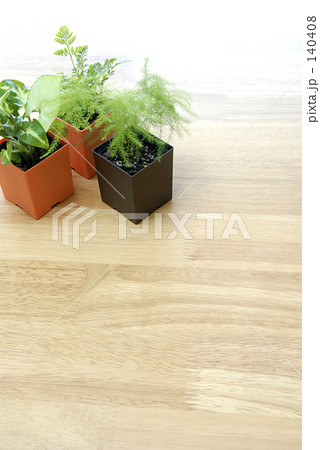 ３種類の葉っぱ 140408