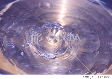 パープルゴールド 147469