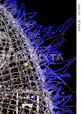 イルミネーション 147685