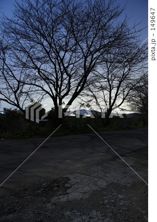 月影の道３ 149647