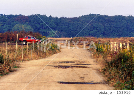 見沼田圃・秋 0159 見沼田圃・秋 0159 153916