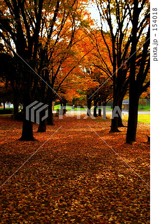 秋の休日 154018