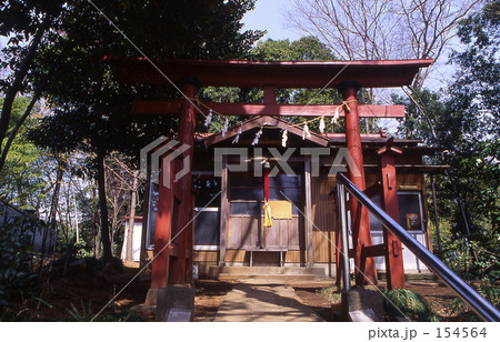 見沼田圃・春 0273 見沼田圃・春 0273 154564