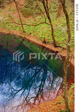 十二湖 青池グラデーション 155106