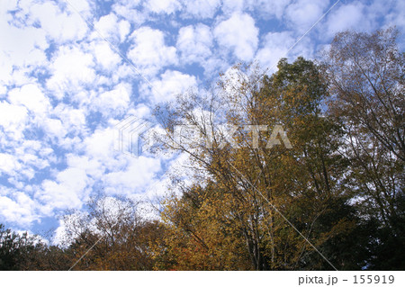 秋空　Ⅲ 155919