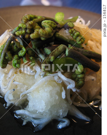 おろしだいこんジャコ山菜ぞえ おろしだいこんジャコ山菜ぞえ 156817