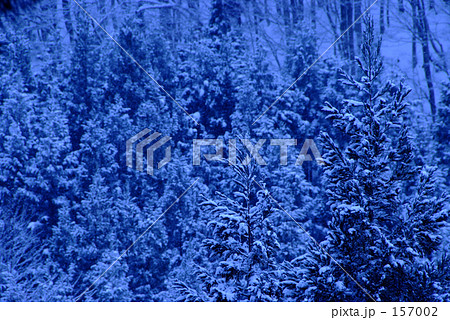 雪の森林 月明かり 雪の森林 月明かり 157002