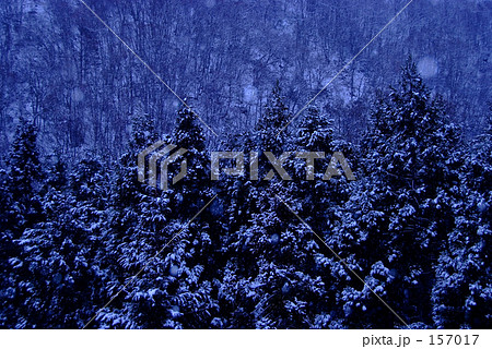 静かな夜明け 157017