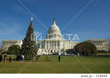 米国連邦議会議事堂前のクリスマスツリー：昼 158898