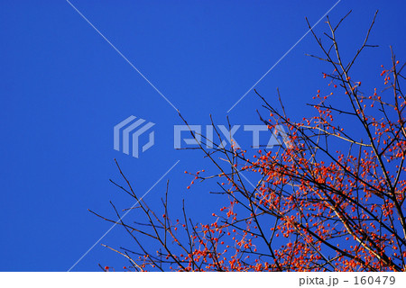 赤と青 赤と青 160479