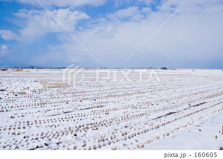 冬の田んぼ 冬の田んぼ 160605