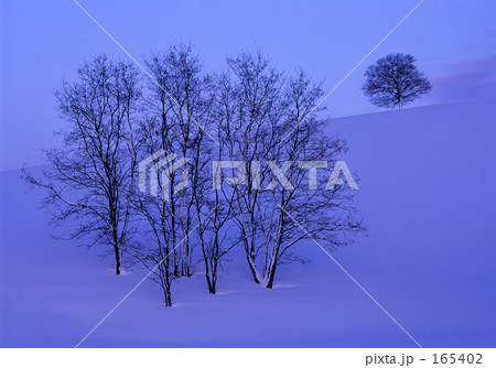 冬の丘 165402