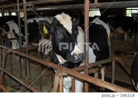 出して~ 出して~ 166319