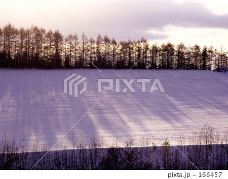 丘に伸びる影 166457